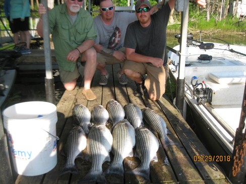 Nice Striped Bass